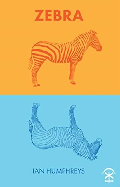 Zebra - Ian Humphreys