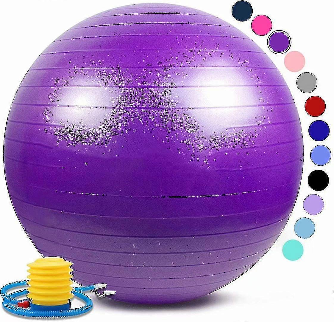 Wiss Ball Auti Burst Core Exercise Ball 45cm / 55cm / 65cm / 75cm Swiss Gymnastics Ball With Rapid Pump For Pregnancy And Pilates
