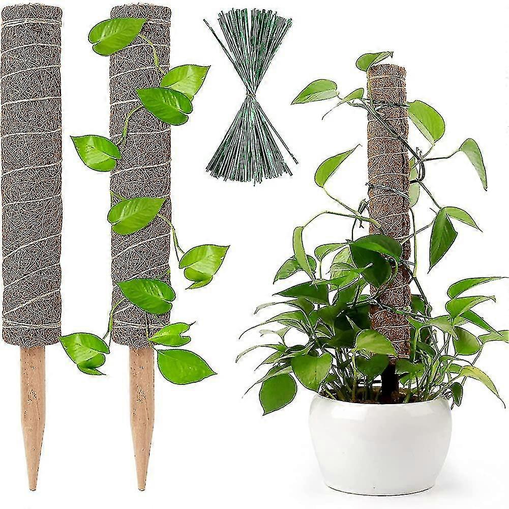       2PCS 40cm   monstera      