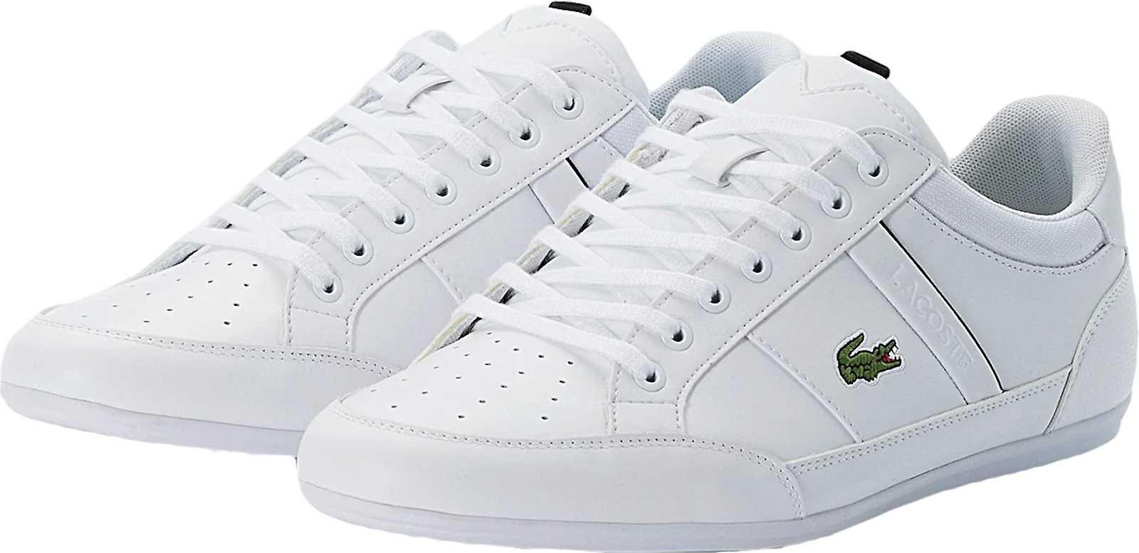 lacoste chaymon white green