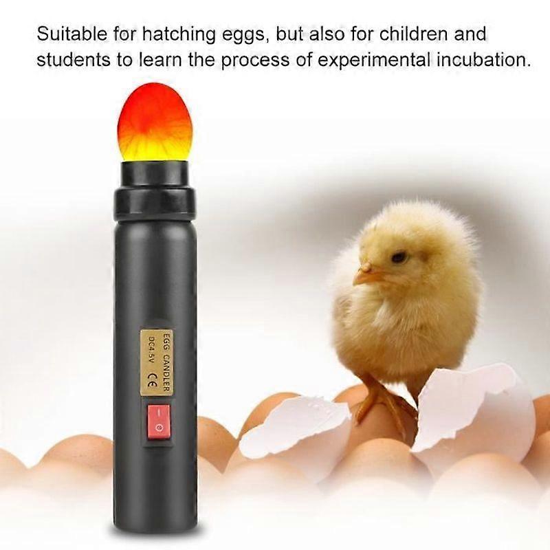 LED Light Egg Candler Tester Mini Lighting Automatic Incubator for Exclusive Experiment-CWU