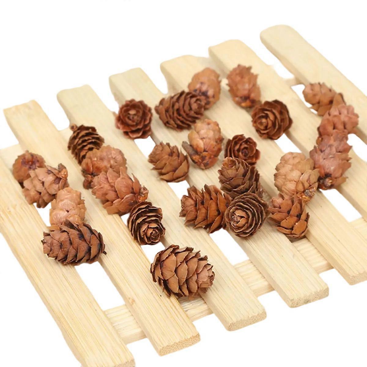 String for Hanging & Natural Material, Special Occasion Decor with Natural Pinecones, Clean and Bug Free for Indoor/Outdoor Use, Uniquely Sized