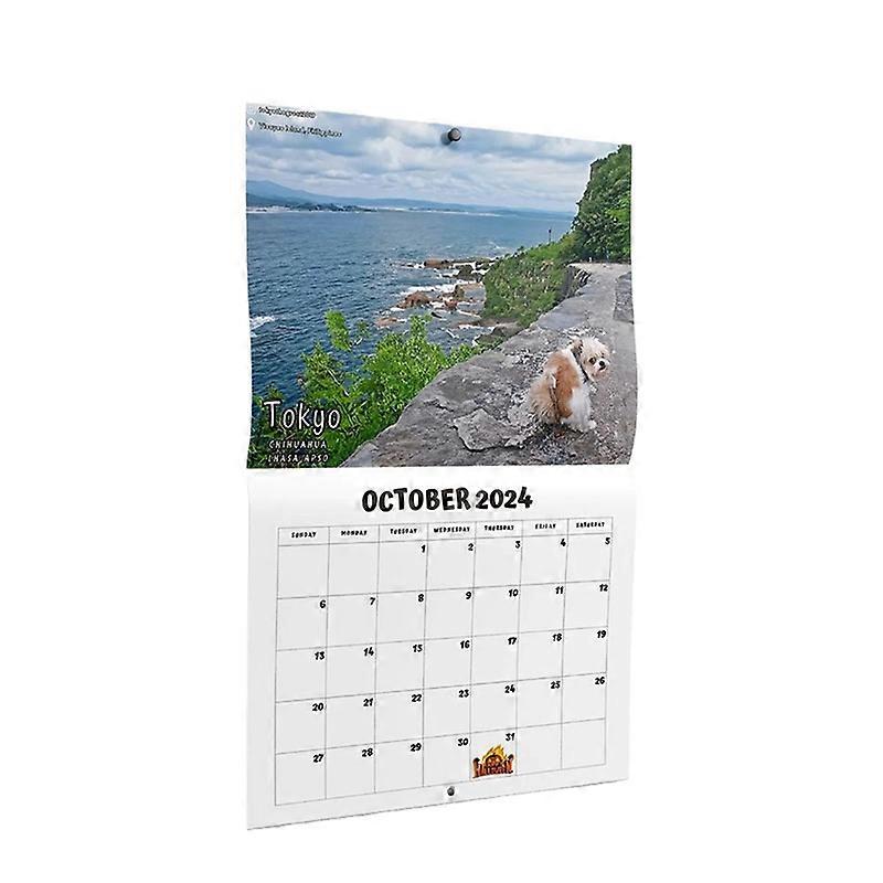 2024 Calendar Wall Calendar January 2024 From December 11x8.5 Inch