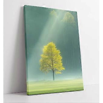 Einsamer grüner Baum auf einer Wiese unter der Sonne – Knobelspiel AY0431