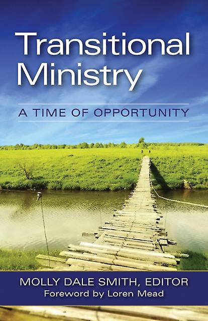 Transitional Ministry Paperback Book