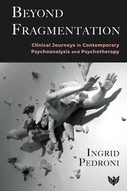 Beyond Fragmentation by Ingrid Pedroni Paperback