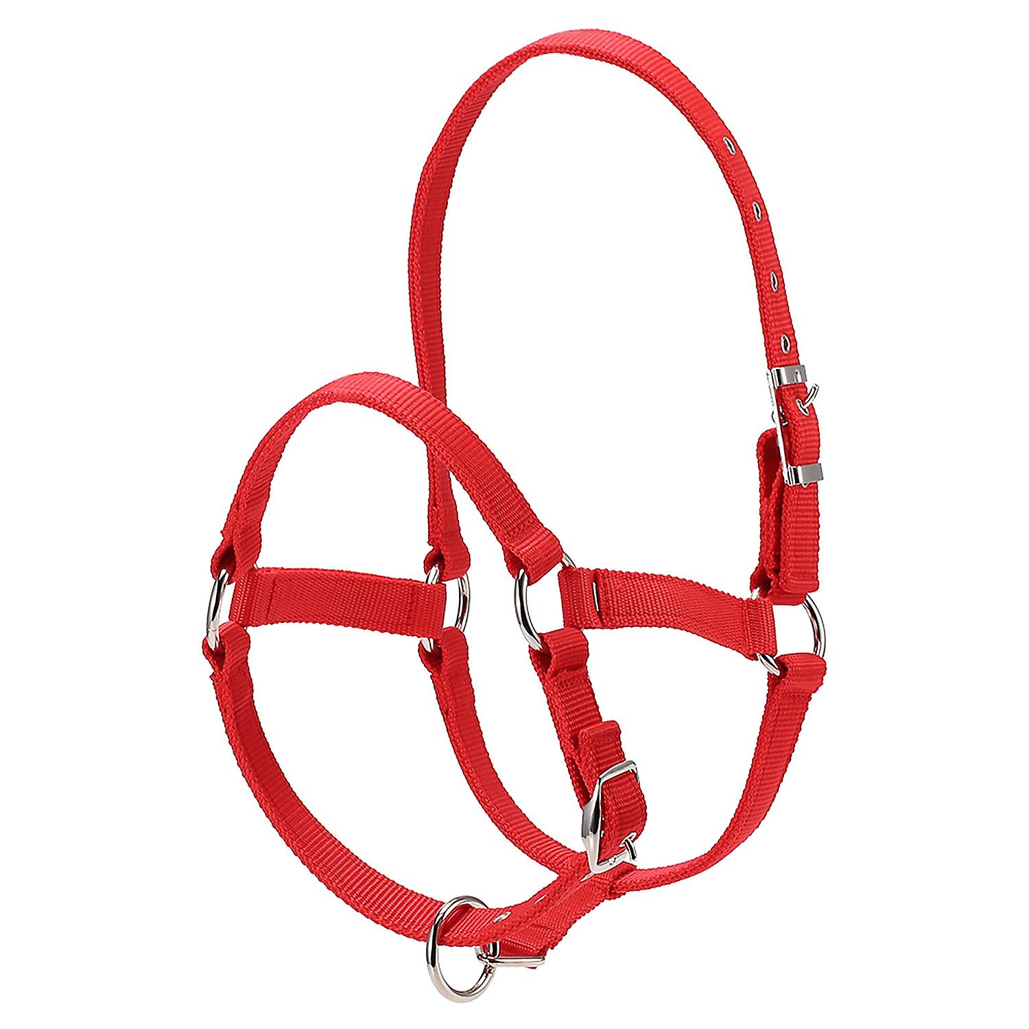 6MM Thickened Horse Head Collar Adjustable Safety Halter Bridle Headcollar