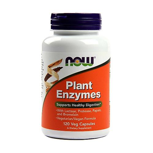 Vegetable Enzymes 120 capsules