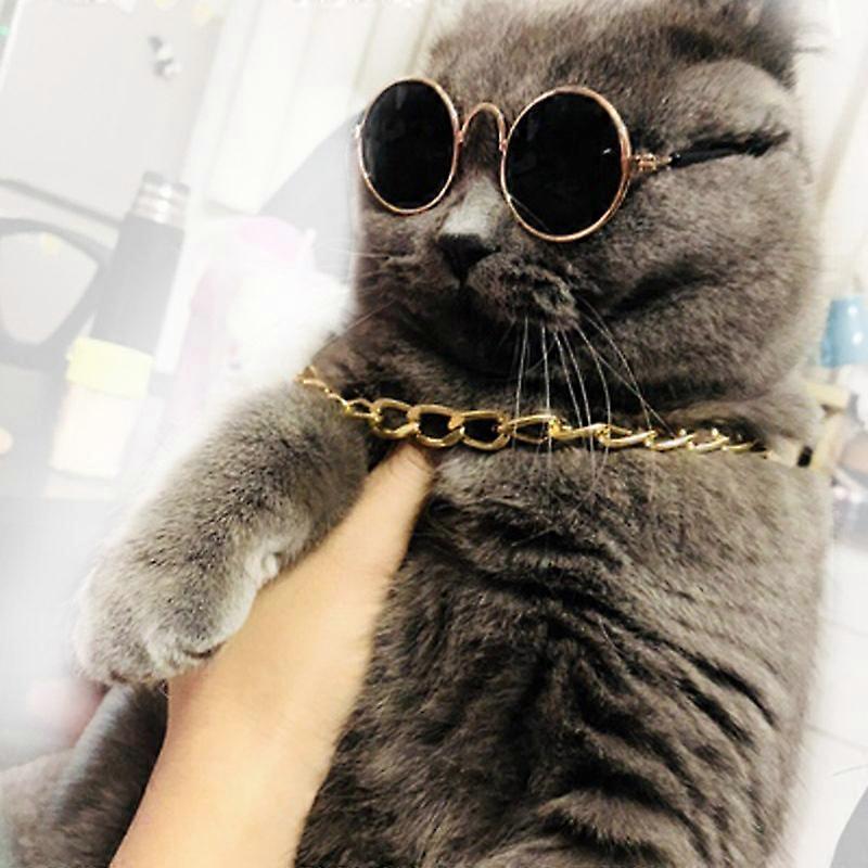 Pet glasses set moda cane collana