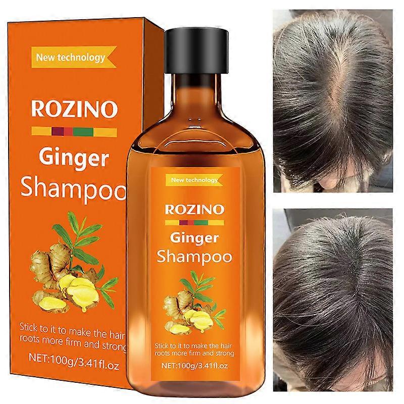Ginger Shampoo Itch Refreshing Oil-control de la caspa Champú fijador del cabello 100g FLYE1305
