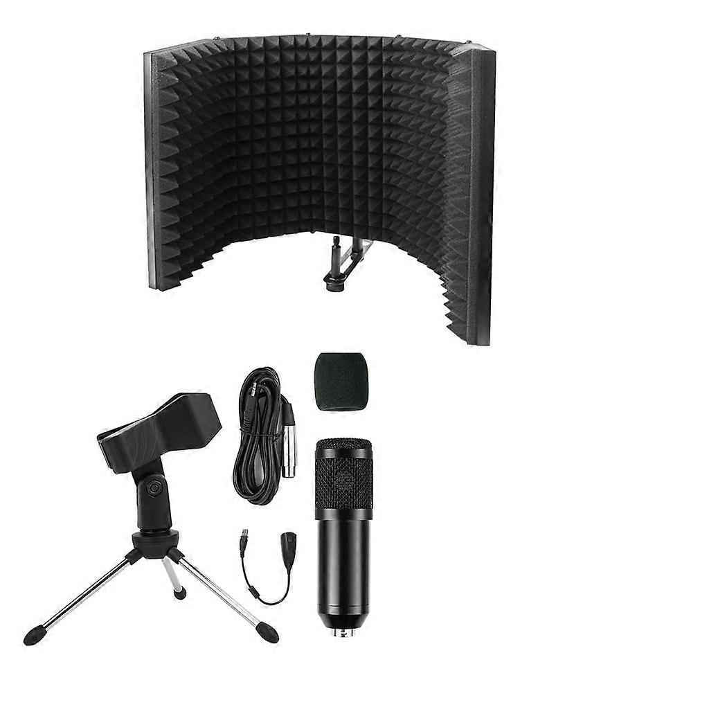 Broadcasting Studio Recording Condenser Microphone Kit with  Screen