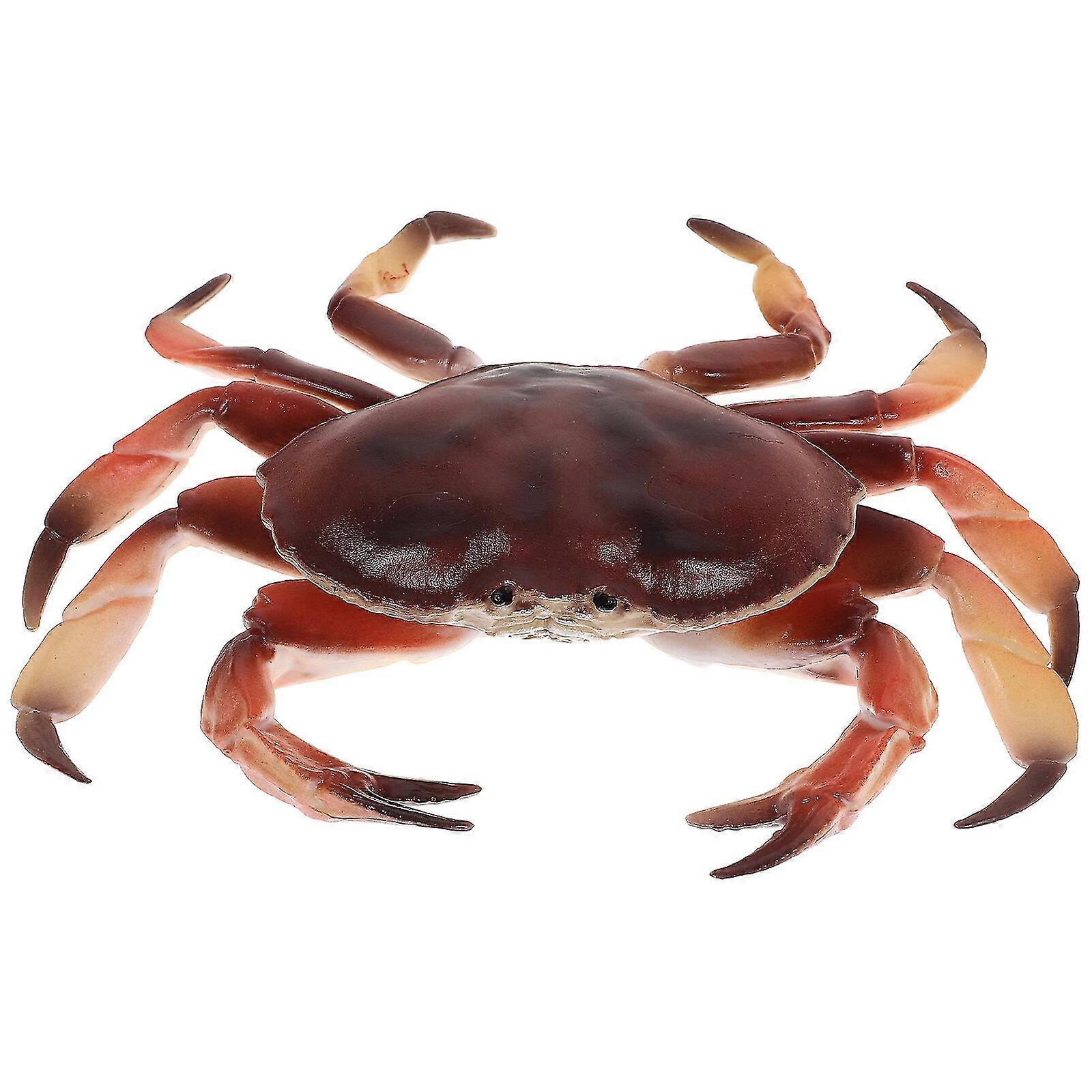 Realistic Simulation Crab Model Educational Plastic Simulated Crab Model Artificial Animal Model