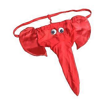 Slips Homme En Coton – Boxers, Strings, Tangas, Microfibre, Grandes Tailles Disponibles, Pour Déguisement Ou Quotidien