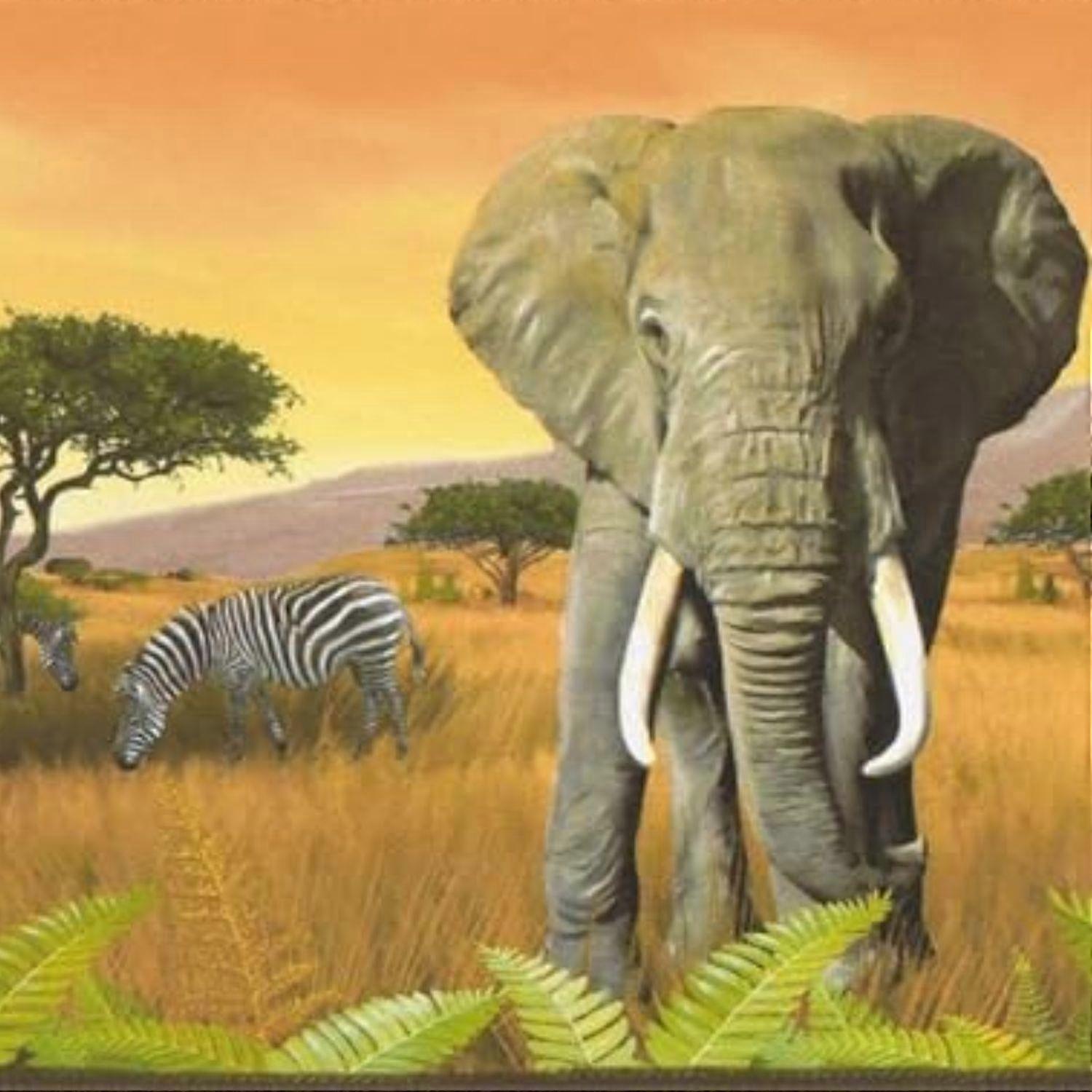 AS Creation Orange Africa Border Wallpaper