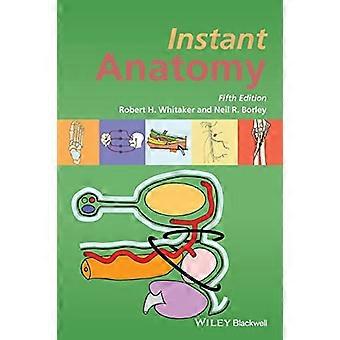 Instant Anatomy