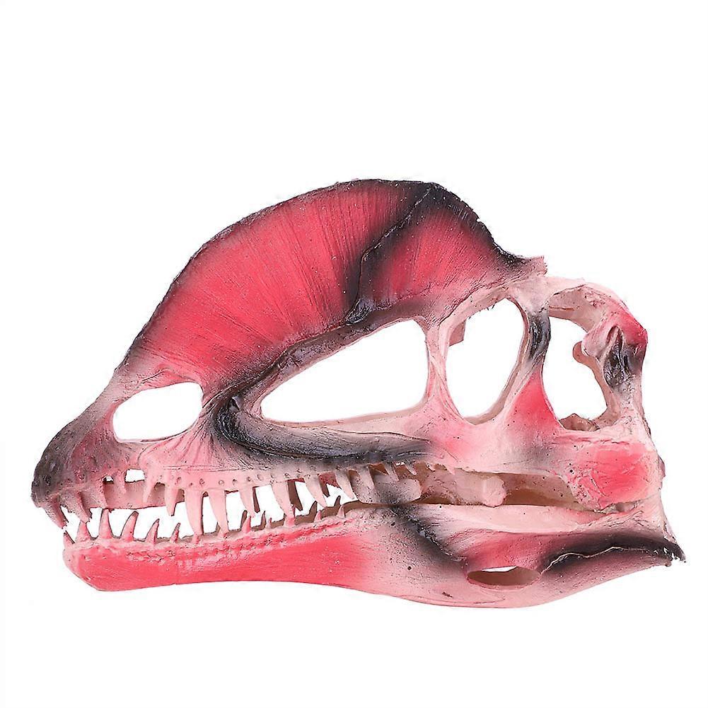 Dinosaur Skull Mold - Dilophosaurus Skeleton Resin Model for Halloween Decor, 3D Design, Realistic Size, Durable Material