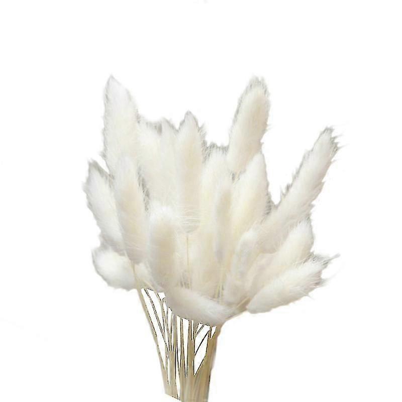 The New 20pcs Dried Flowers