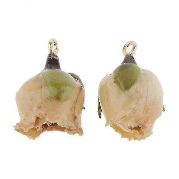 7x2pcs Resin Dried Real Rose Charm DIY Jewelry Making Finding beige with leaf