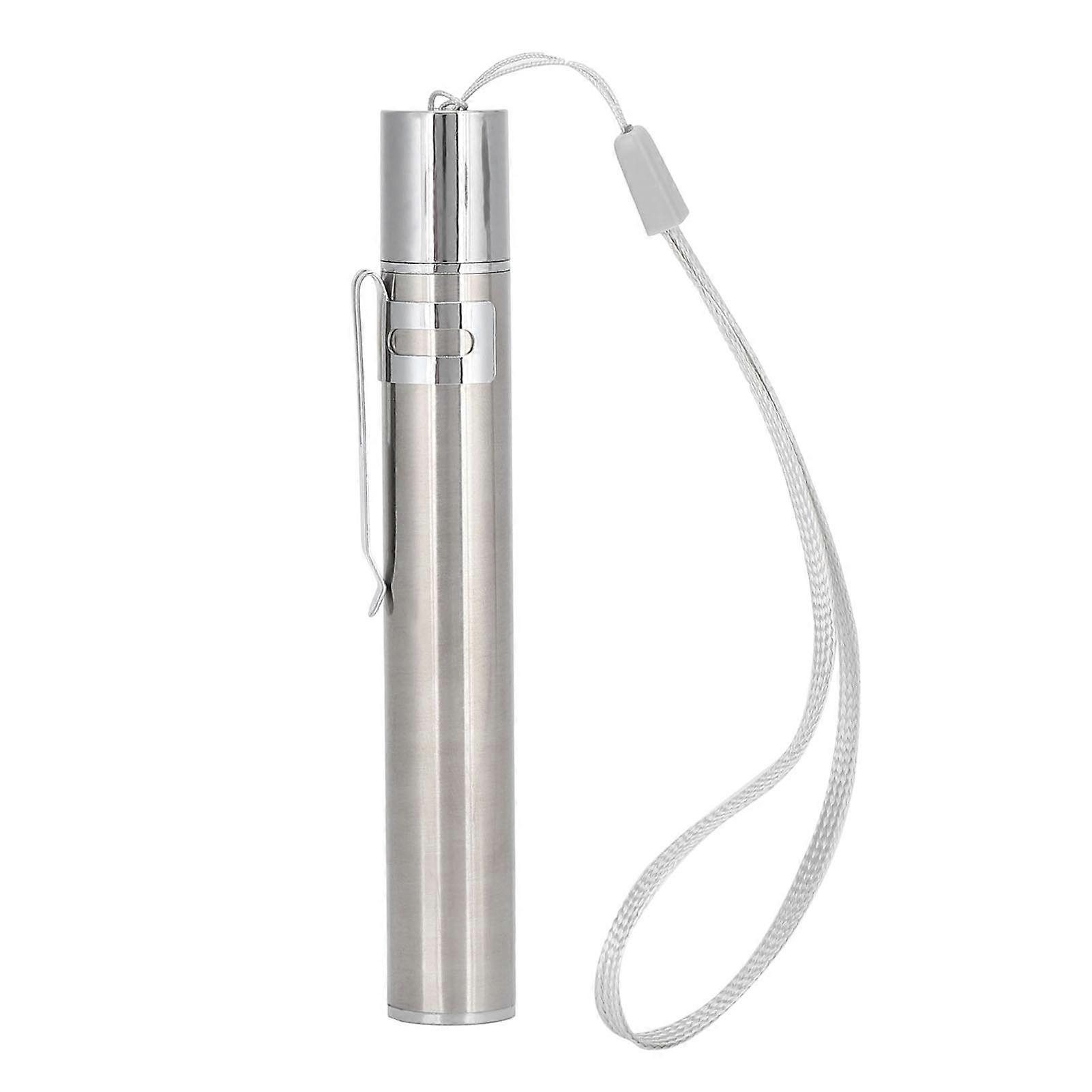 Red/UV Light Teasing Cat Pen Pointer USB Rechargeable Stainless Steel Pet Interactive Training Toy