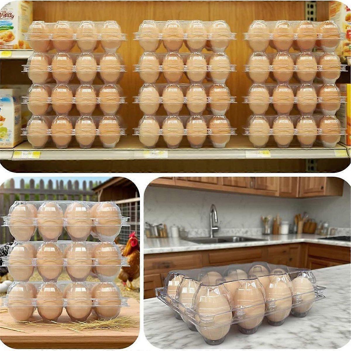 50-Pack 15-Count Plastic Egg Cartons for Chicken Eggs