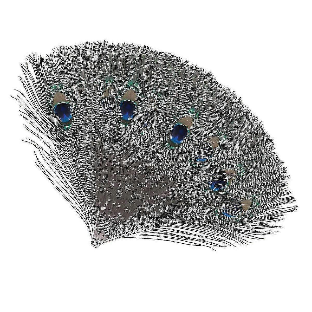 Natural Large Peacock Feathers For Decoration