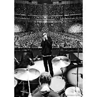 Puzzle antistress Oasis di Liam Gallagher ZA0327