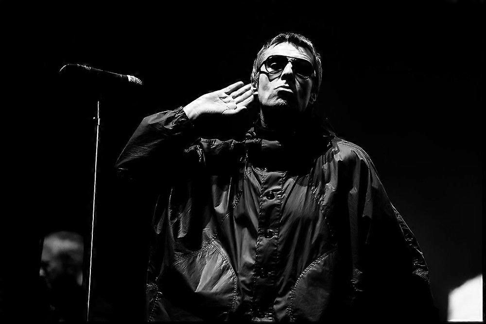 Oasis Liam Gallagher Stresslindrande Pussel ZA0939