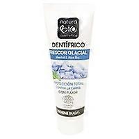 Toothpaste Glacial Freshness With Fluorine Mint Menthol 75 ml