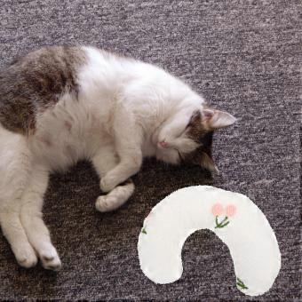 U-Shaped Pet Neck Pillow for Sleeping Comfortable Plush White