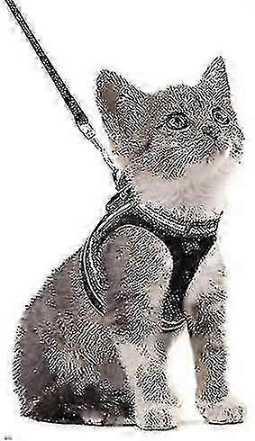 Harness Kitten Harness Withlead, Soft Adjustable Comfort