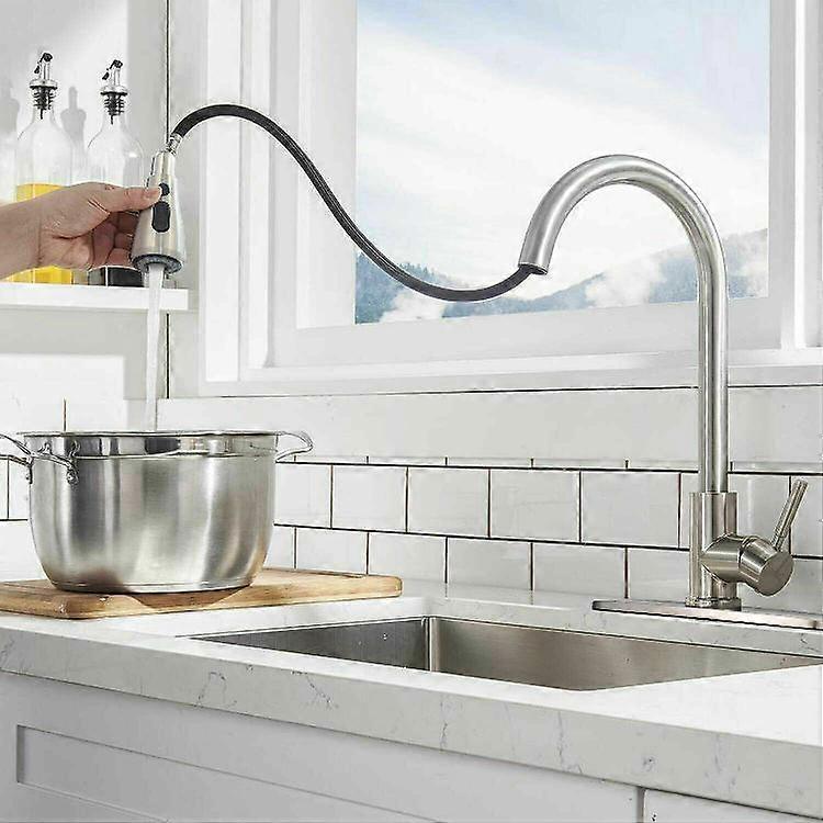 Kitchen faucet with single stainless steel handle