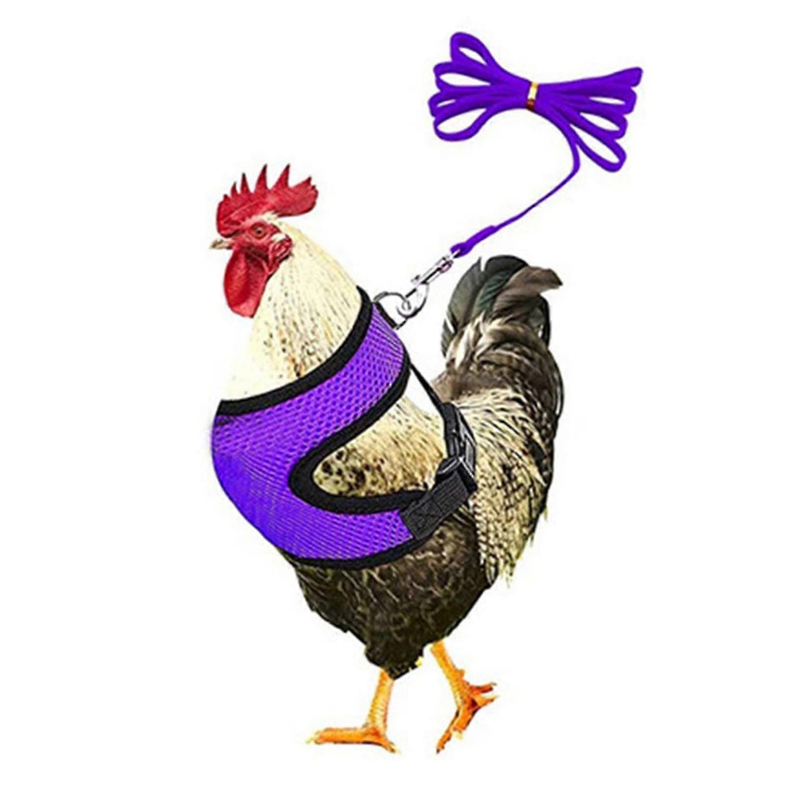 Adjustable Chicken Harness With Leash- Comfortable Hen Vest Breathable Mesh