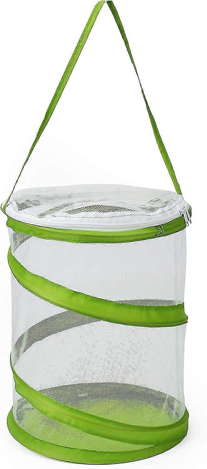 Pop-up Insetto e farfalla Habitat Cage Terrarium Clear Mesh Enclosure, See Through Easier 9 "X 11" Tall