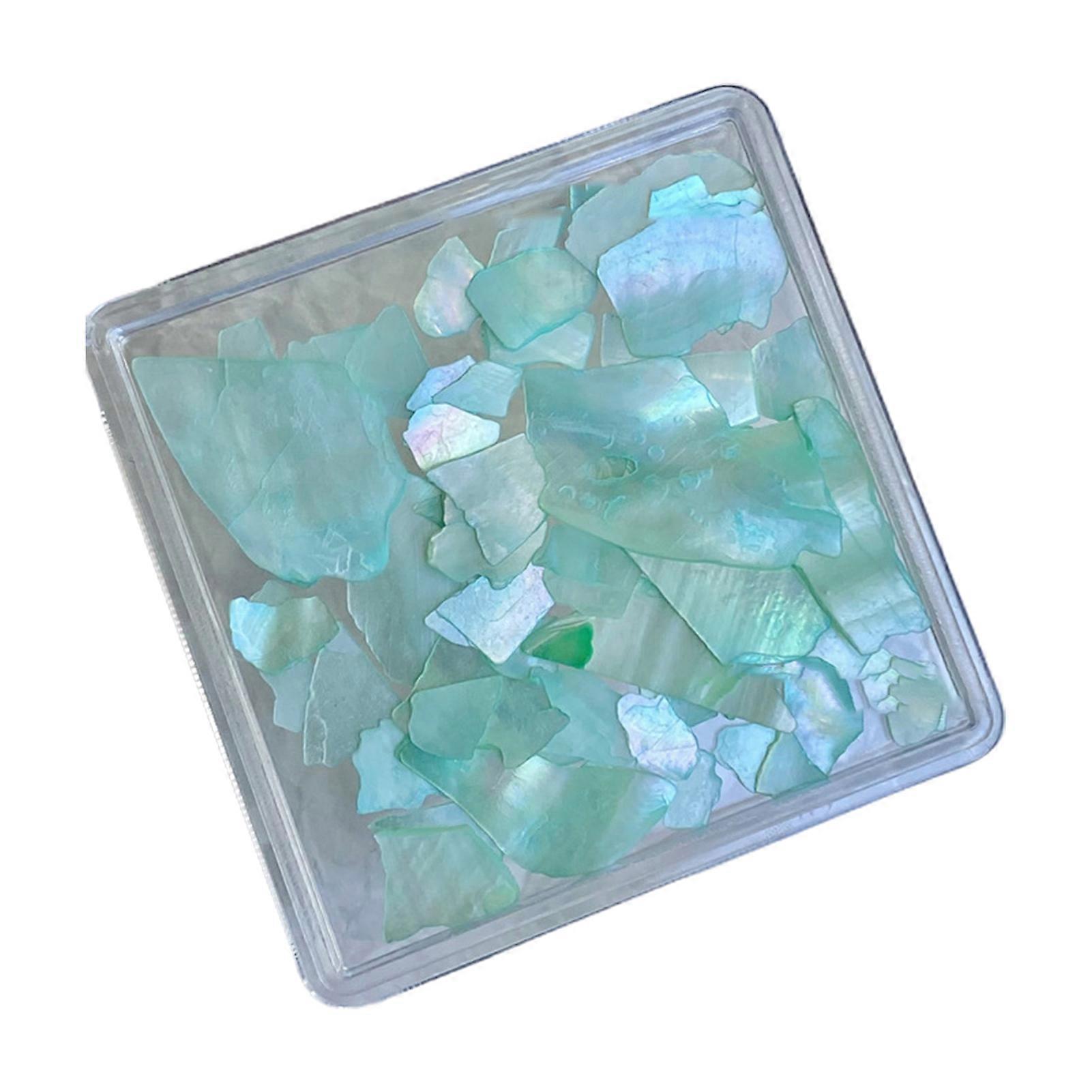 1 Box Nail Art Decor Irregular Shape Broken-off Ultra-thin Illumination DIY Non-falling Nail Jewelry Shell Natural Shell Pieces Nail Supplies