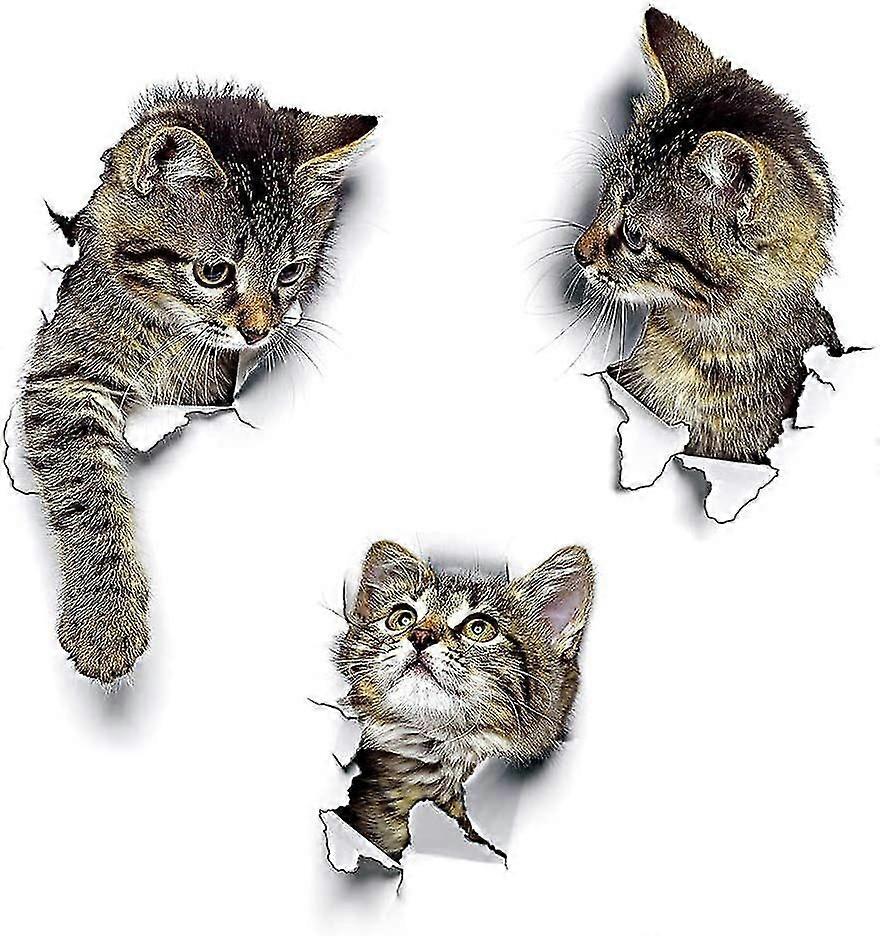 Wall Stiers Wall Decor,0636