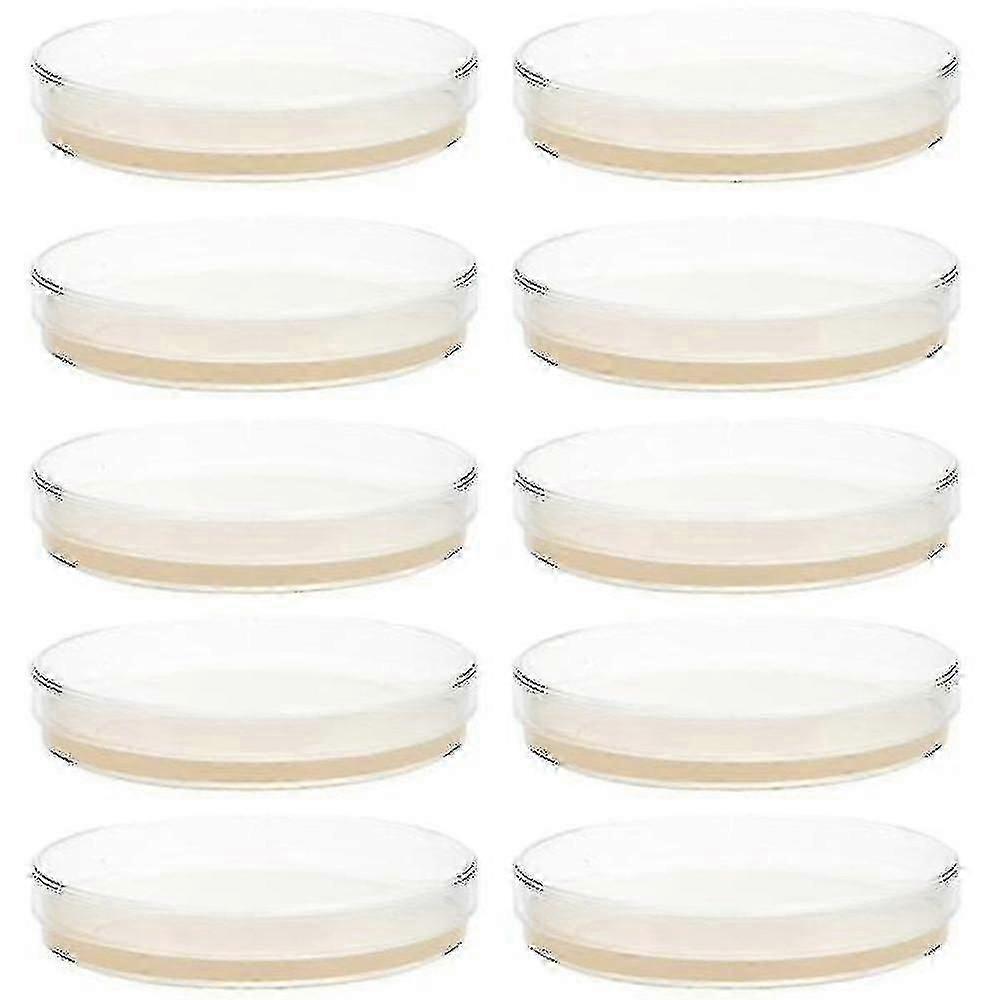 10 قطع أطباق أجار مصبوبة مسبقا أطباق بتري مع لوازم تجربة أجار العلمية