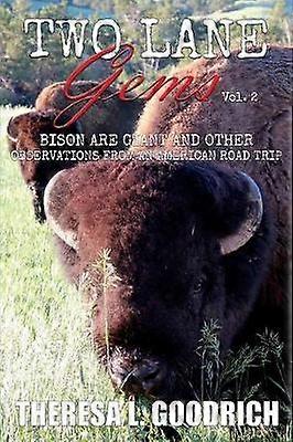 Two Lane Gems Vol. 2