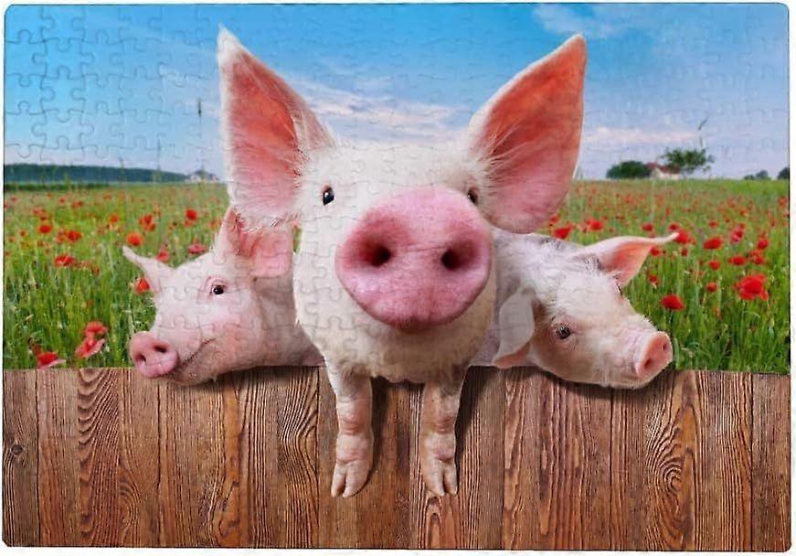 300 bitars pussel för - Gris och vallmo blommaWD025