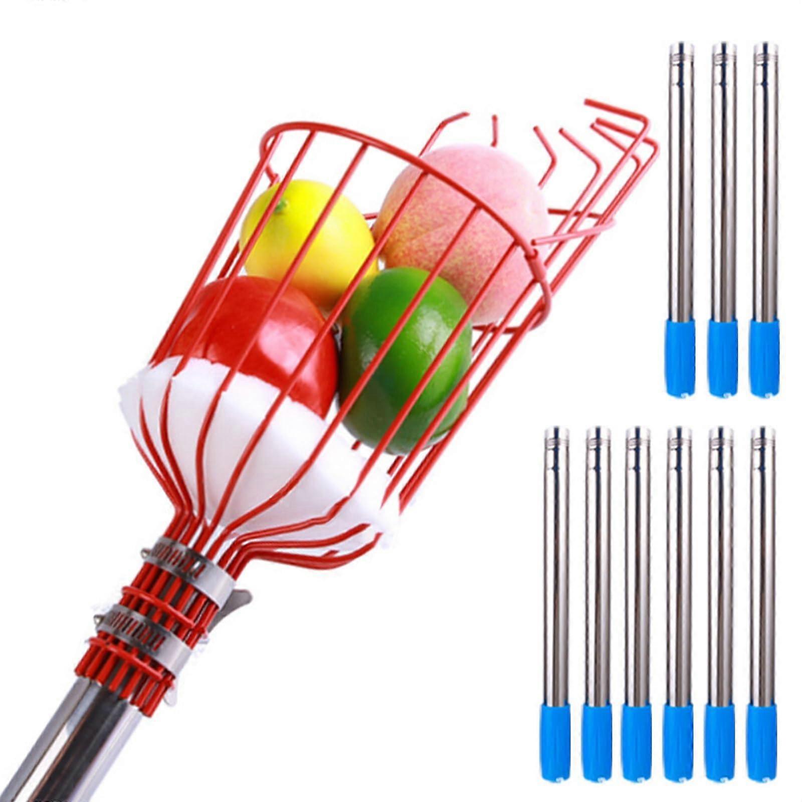 Apple Collector With Basket, Stainless Steel Fruit Picker 3.6 m, Foam Padding for Comfort
