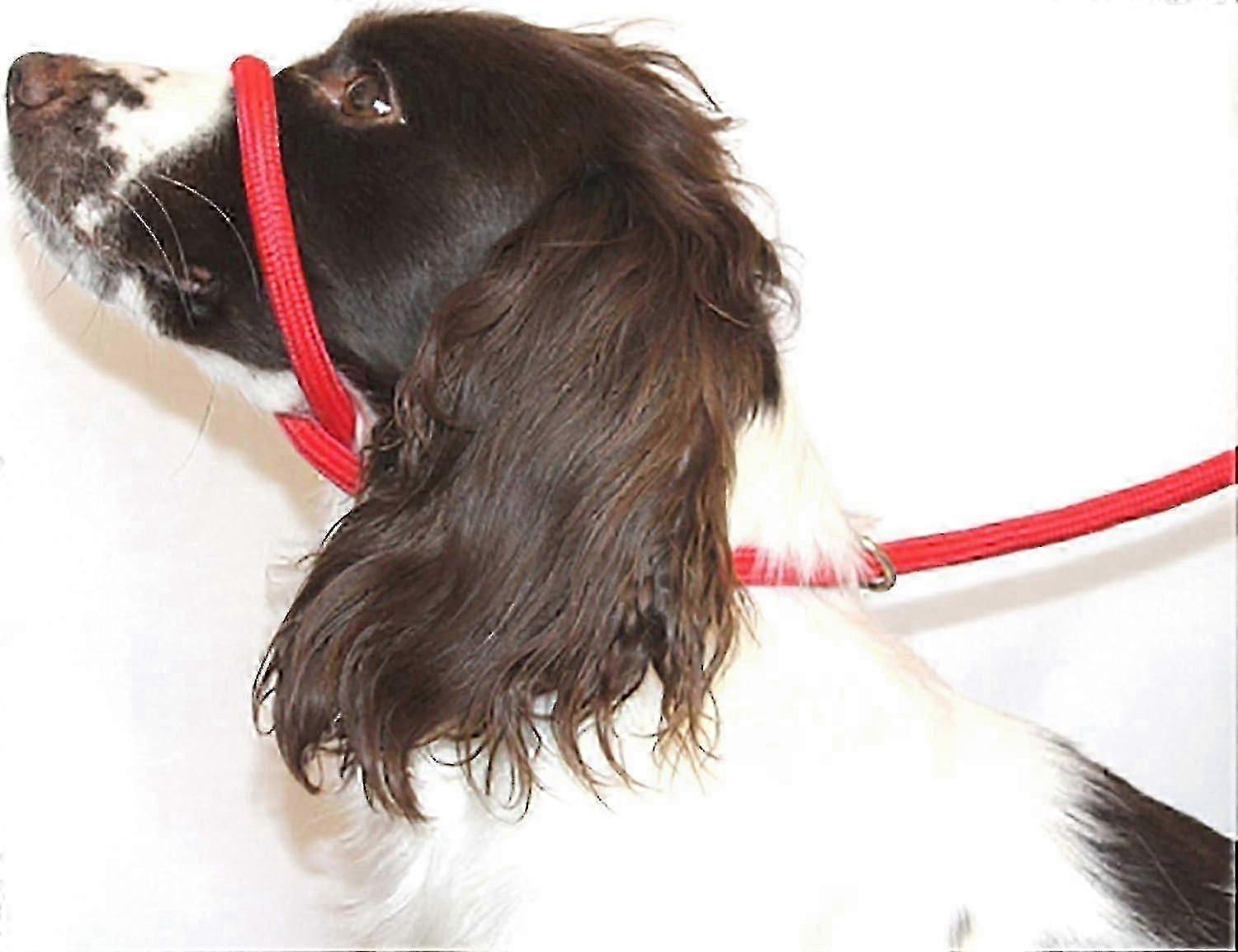 Red Figure-8 Anti-Pull Dog Halter in Soft Braided Nylon, One Size Fits All with Guide