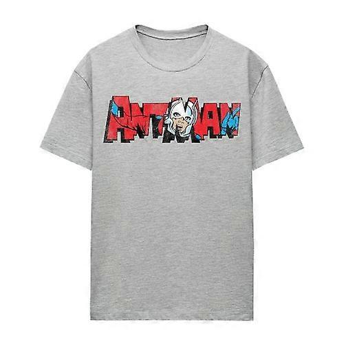 Ant-Man And The Wasp: Quantumania Womens/Ladies Retro Frame Logo Heather T-Shirt