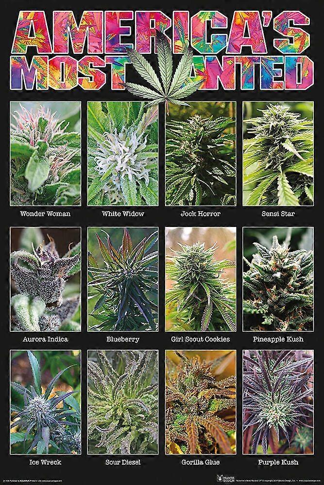 Puzzle anti-stress G0021