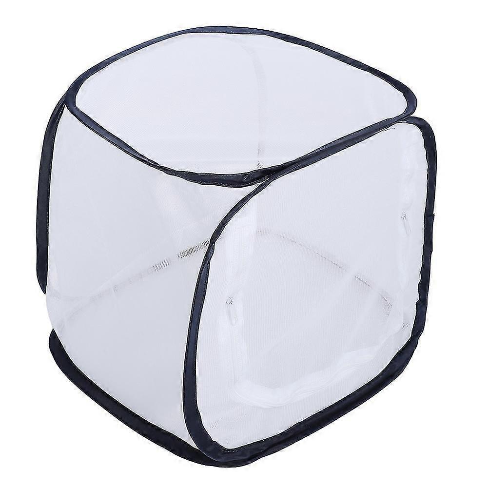 Pliable, Papillon, Maison, Élevage, Cage