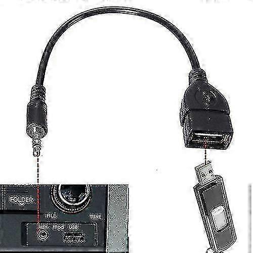 3.5mm Aux to USB-A OTG Cable