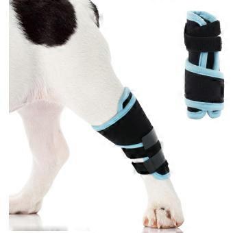 Dog Leg Brace Small, Compression Wrap for Front & Back Legs, Adjustable Dog Knee Sleeve, Joint Support & Injury Recovery, Joint Stability Mobility Aid