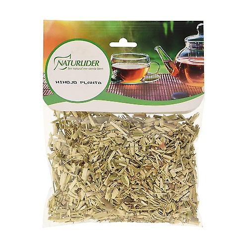fennel plant 40g