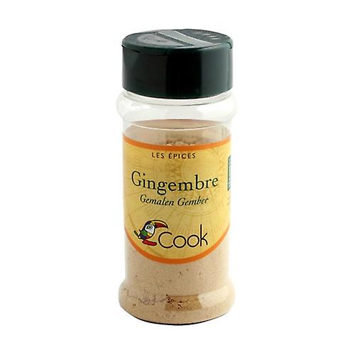 ginger powder 30 g