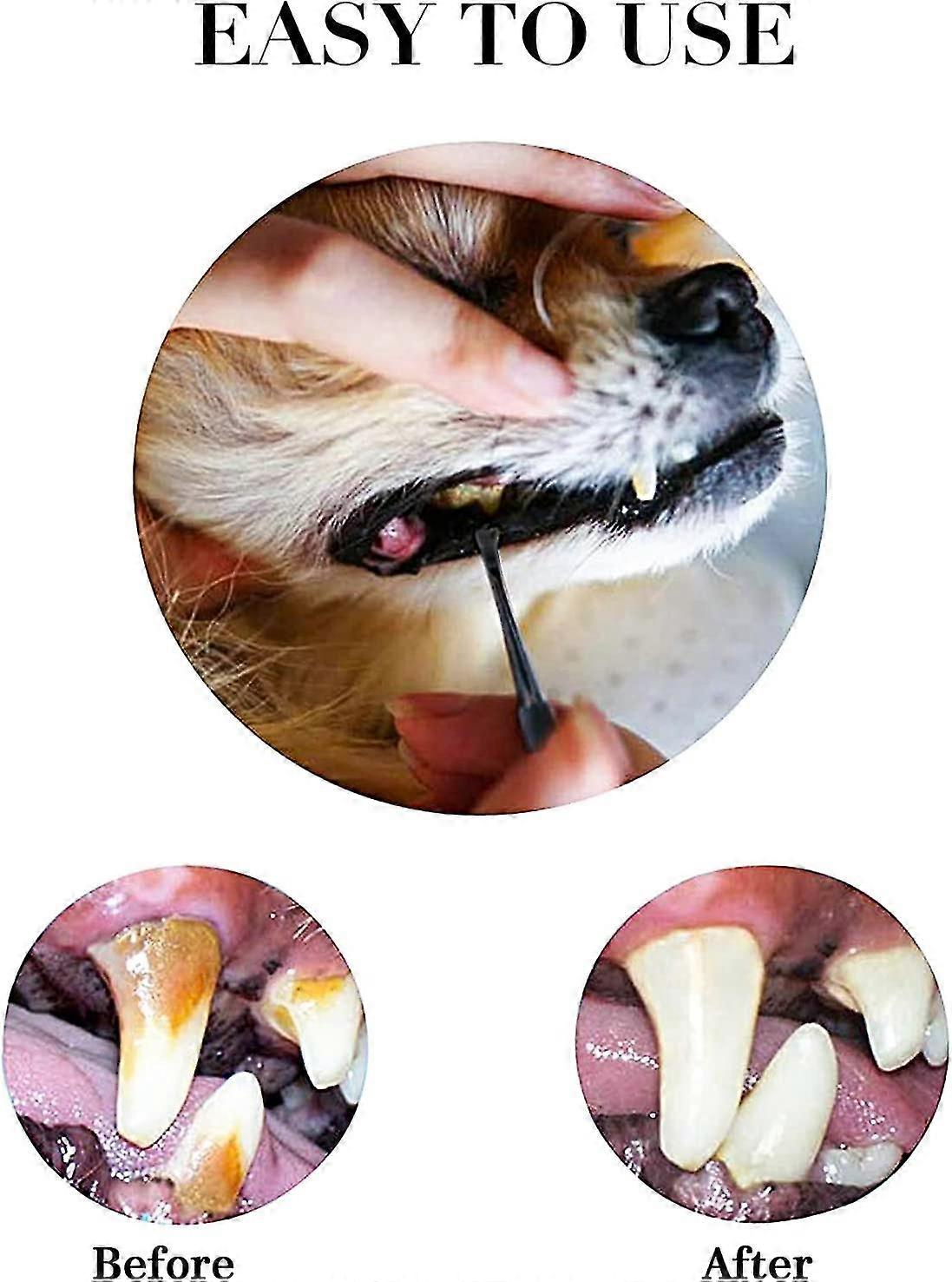 Dog Teeth Scaler And Scraper Stainless Steel Double-headed Tartar Remover Scraper Pet Teeth Cleaning Tool Dog And Cat Silver 3 Piece Set