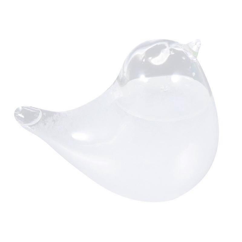 Glass Empty Bottle for Weather Forecast Use - DIY Weather Forecasting with a Glass Bottle