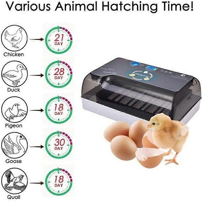 Yangbaga Egg Incubator - LED Lighting - Automatic Turning Function - Egg Capacity: 12 PCS English Manual